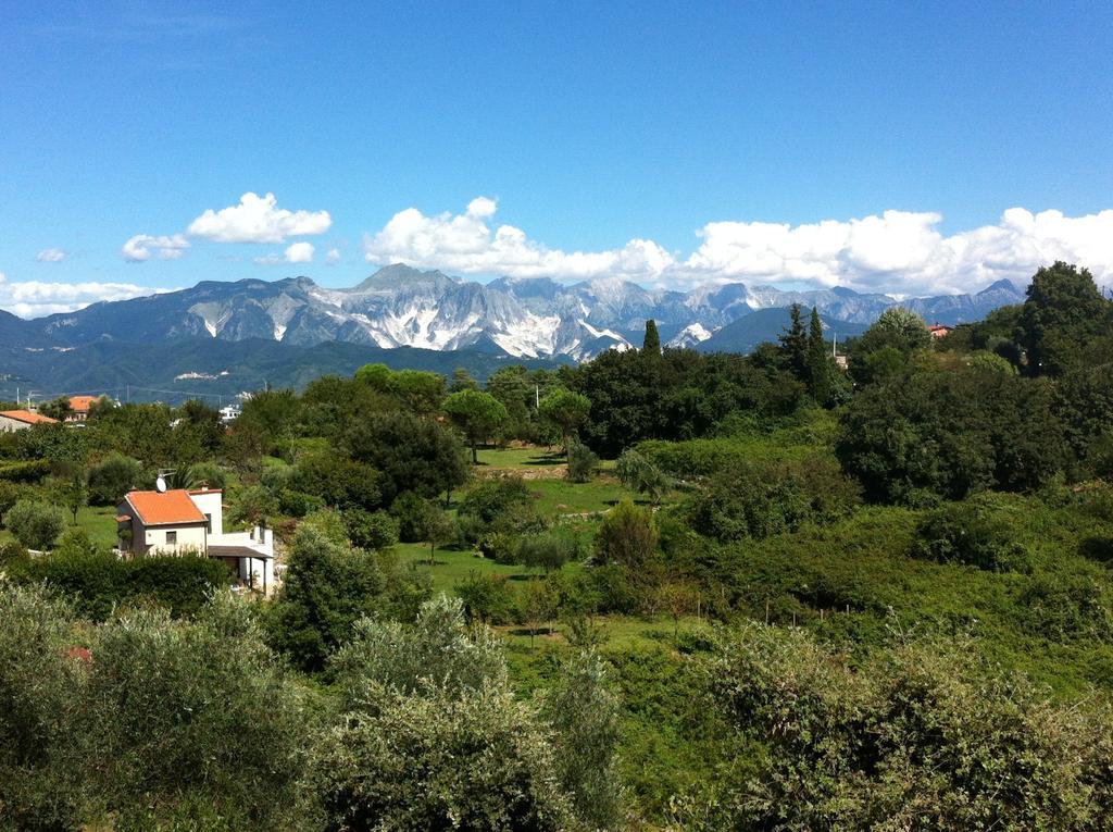 B&B Le Palme Ameglia Exterior foto